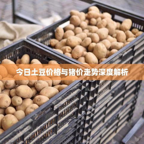 闭月羞花