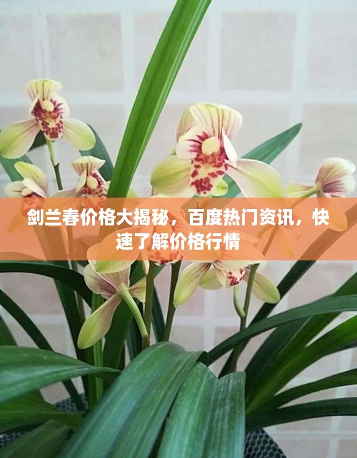 2025年4月 第15页
