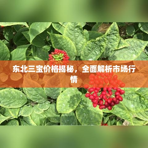 2025年4月 第9页