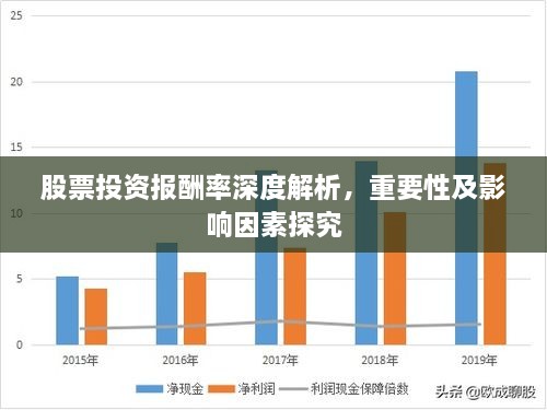股票投资报酬率深度解析，重要性及影响因素探究
