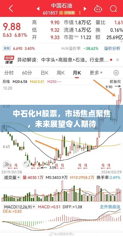 朴素无华