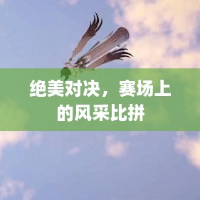 绝美对决，赛场上的风采比拼