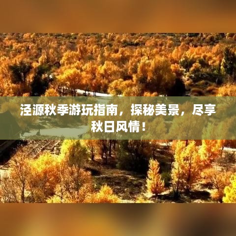 泾源秋季游玩指南，探秘美景，尽享秋日风情！