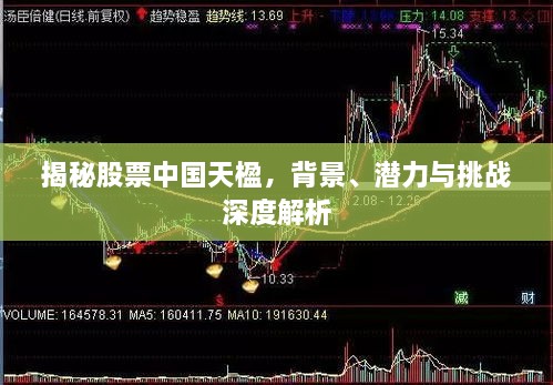 揭秘股票中国天楹，背景、潜力与挑战深度解析