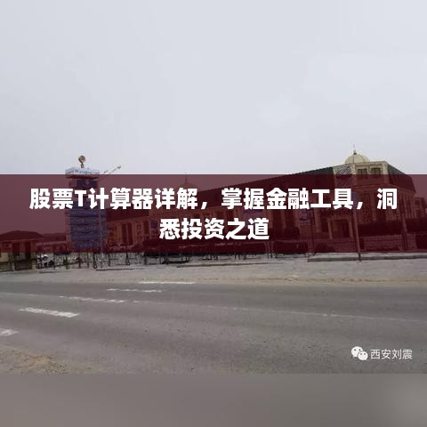 股票T计算器详解，掌握金融工具，洞悉投资之道