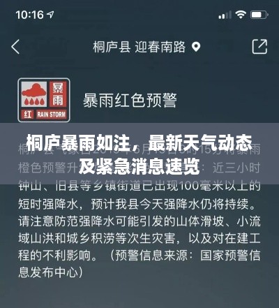 桐庐暴雨如注，最新天气动态及紧急消息速览